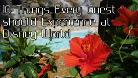Top Ten Things Every Guest Should Experience at Walt Disney World