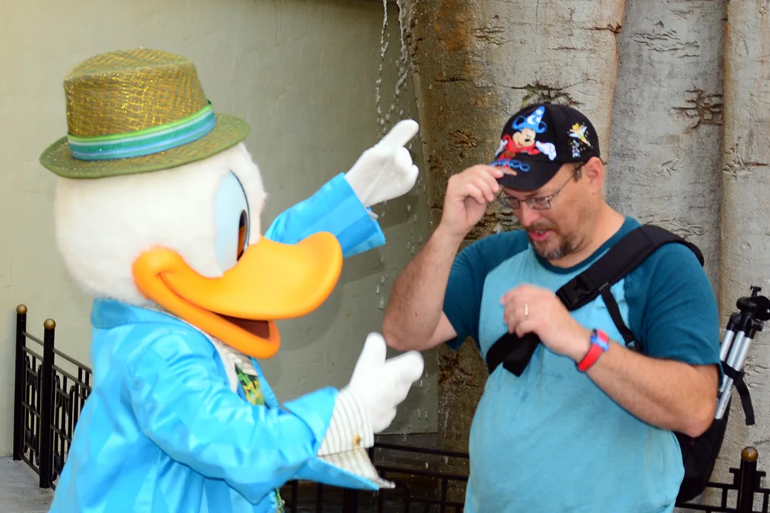 Disney's Hollywood Studios meet and greet Donald Duck