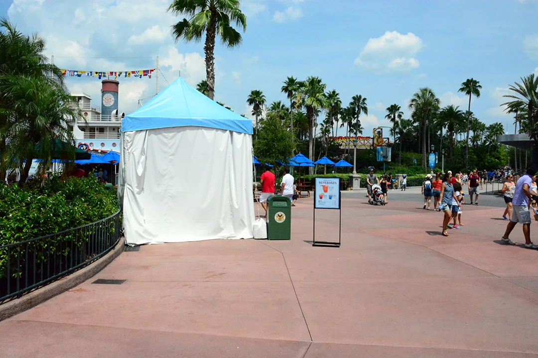 Disney's Hollywood Studios Frozen Parade
