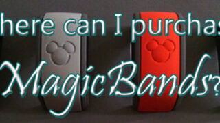 Where can I purchase a MagicBand at Walt Disney World?