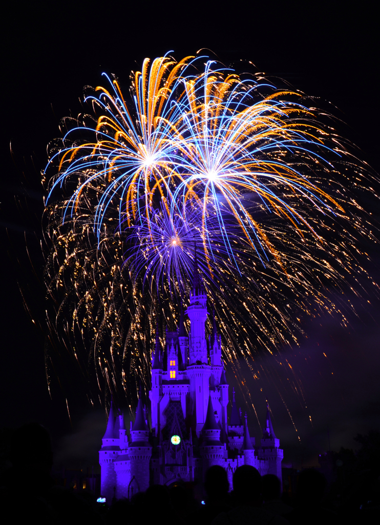 Wishes Fireworks at the Magic Kingdom in Disney World August 2014