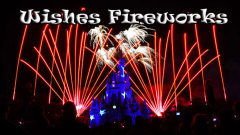 Wishes Fireworks at the Magic Kingdom in Disney World