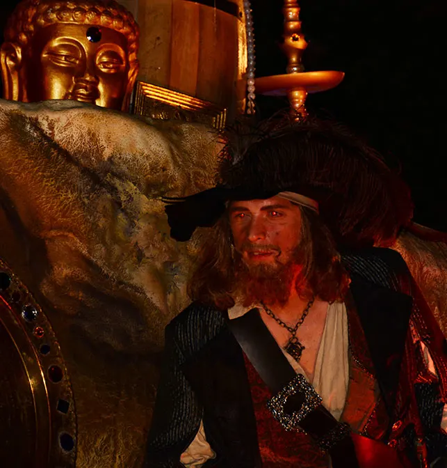 Mickey's Not So Scary Halloween Party 2014 Boo to You Halloween Parade Barbossa