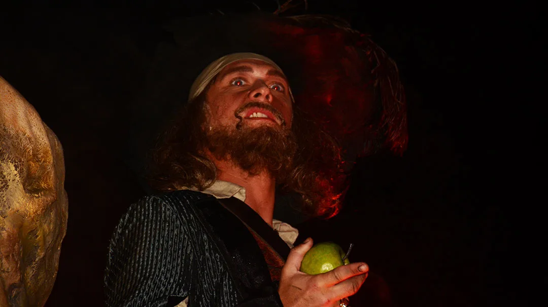 Mickey's Not So Scary Halloween Party 2014 Boo to You Halloween Parade Barbossa