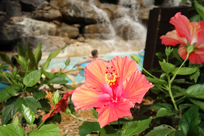 Water Parks