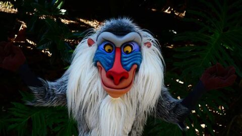 Animal Kingdom’s Rafiki’s Planet Watch and Conservation Station to close