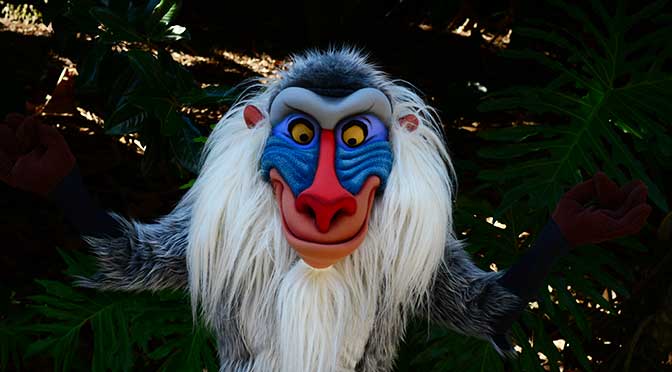 Opening date set for Rafiki's Planet Watch