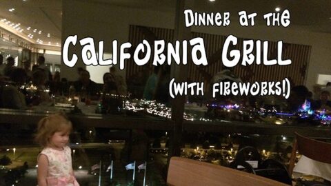California Grill dinner at the Contemporary Resort (with fireworks!)