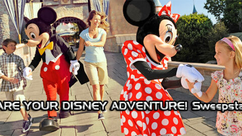 Share Your Disney Adventure Sweepstakes