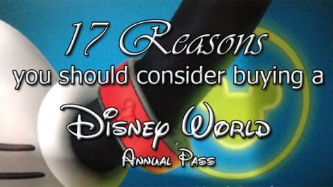 17 Reasons you should consider purchasing at least one Annual Pass for your next Disney World trip.