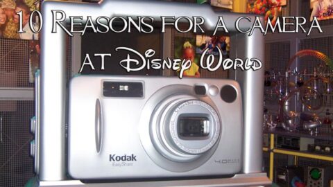 10 reasons you should bring a camera to Disney World