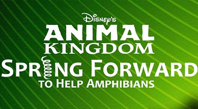 Animal Kingdom Spring Forward to help amphibians day l kennythepirate.com
