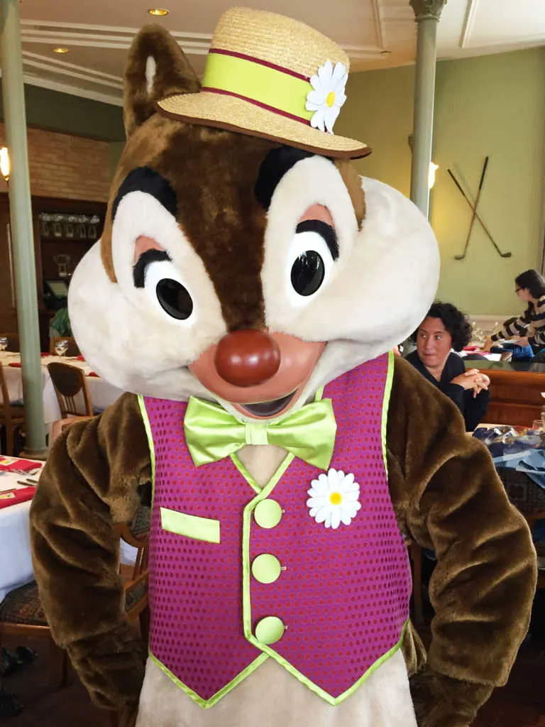 Disneyland Paris Swing into Spring Dale