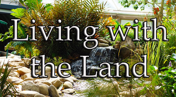 Living with the Land at Epcot in Walt Disney World