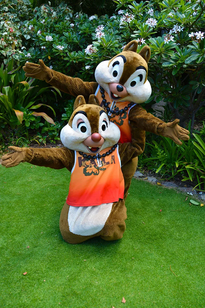 Chip n Dale at the Halawai Lawn at Disney's Aulani in Oahu Hawaii