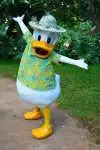 Donald Duck near the Menehune Bridge at Disney's Aulani in Ohau Hawaii