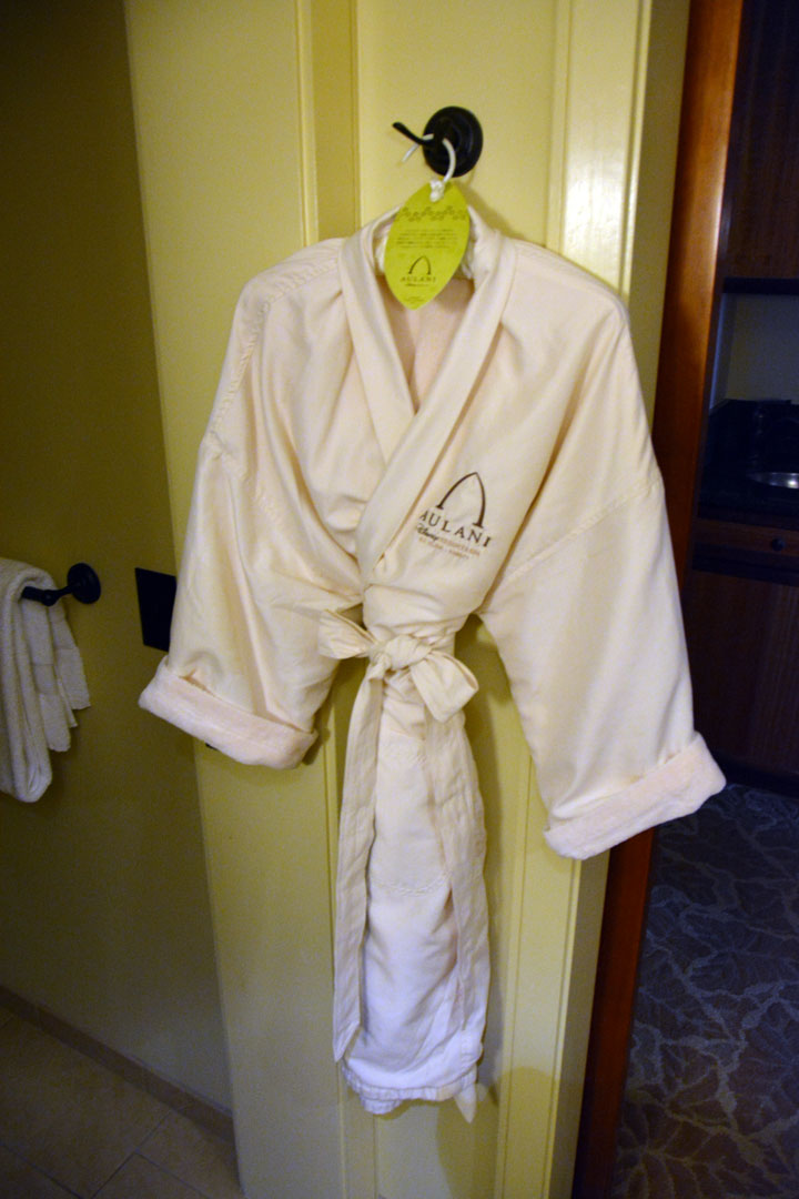 Disney Aulani Disney Vacation Club Studio Villa