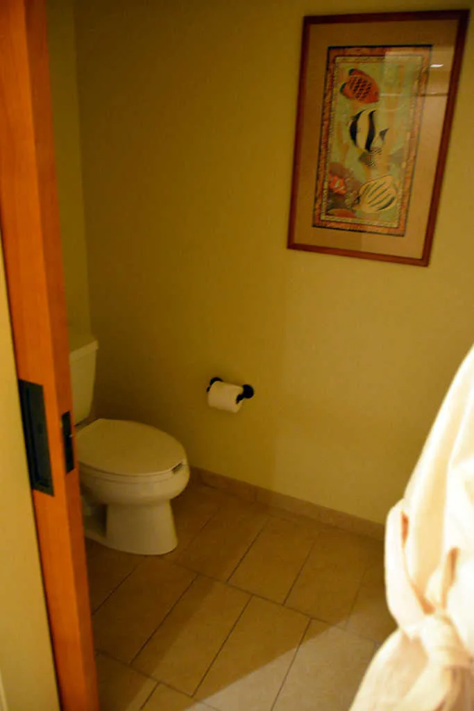 Disney Aulani Ko Olina Hawaii Disney Vacation Club Studio Room (9)
