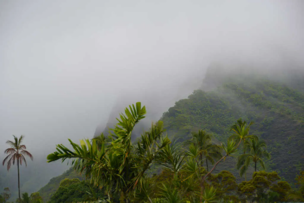 Turtle Bay Resort Noth Shore Oahu Hawaii (1)