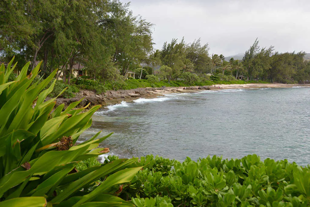 Turtle Bay Resort Noth Shore Oahu Hawaii (16)