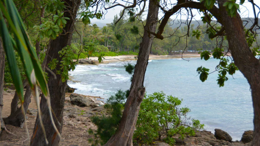 Turtle Bay Resort Noth Shore Oahu Hawaii (17)