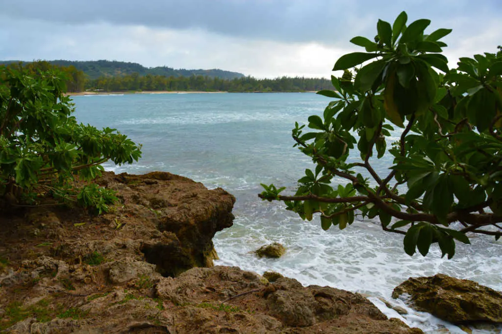 Turtle Bay Resort Noth Shore Oahu Hawaii (18)