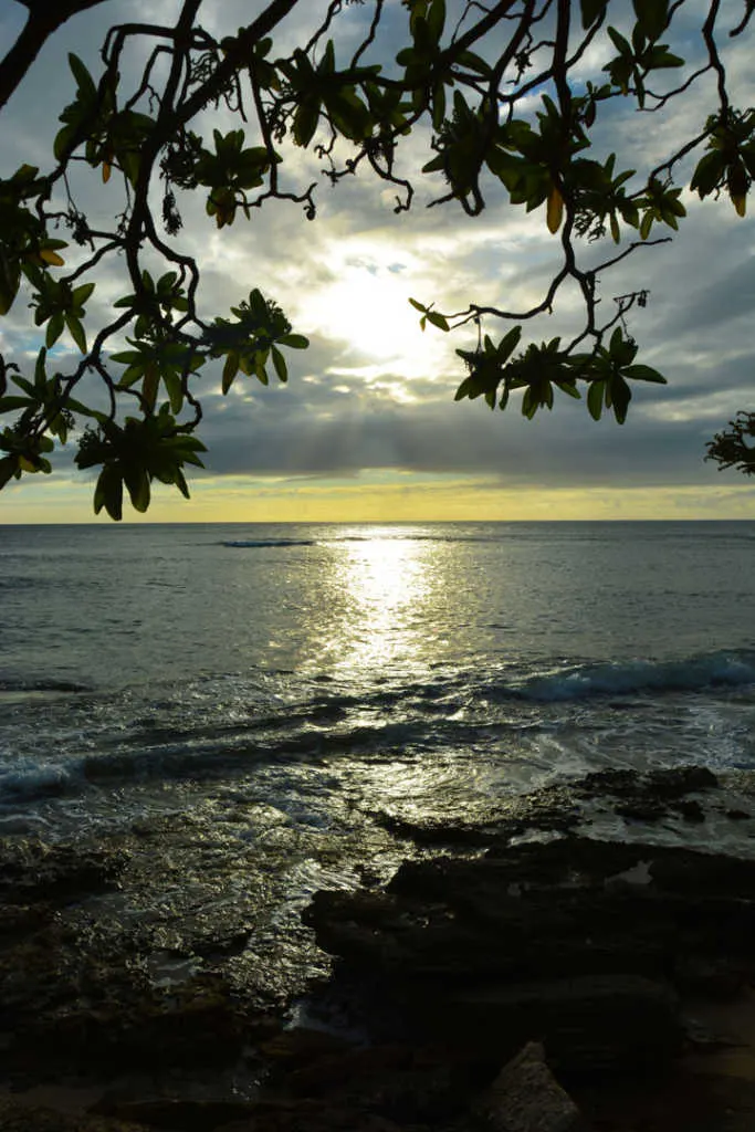 Turtle Bay Resort Noth Shore Oahu Hawaii (19)