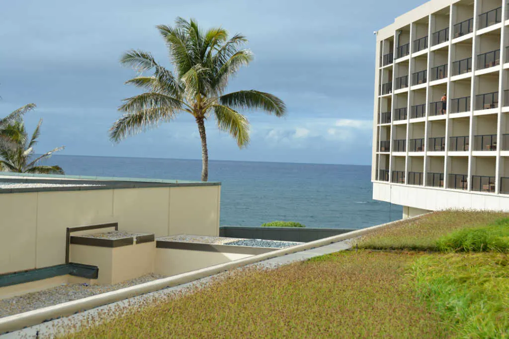 Turtle Bay Resort Noth Shore Oahu Hawaii (6)