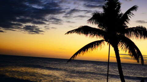 Oahu, Hawaii Day ONE arrival, check in at Turtle Bay Resort on North Shore and evening sunset