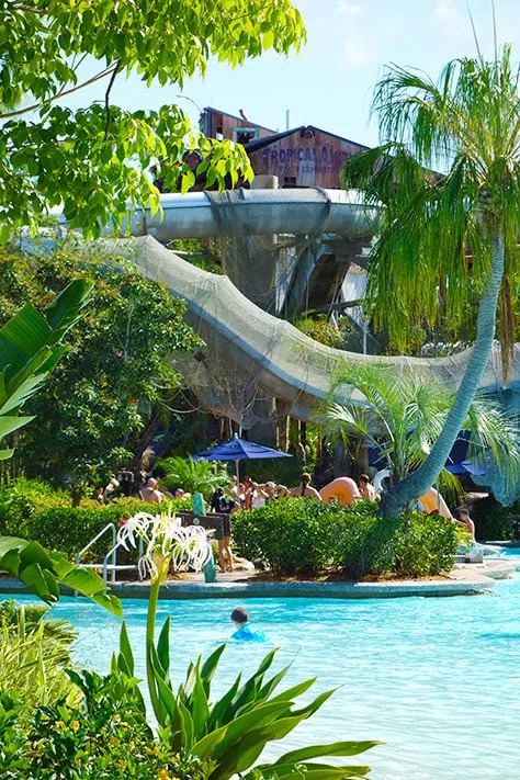 Crush n Gusher at Disney's Typhoon Lagoon Water Park