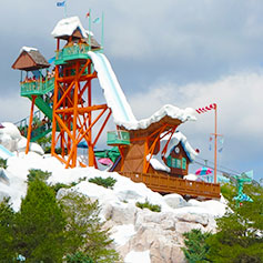 Summit Plummet at Disney's Blizzard Beach Water Park