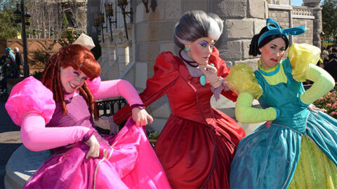 Tremaine Family and Fairy Godmother changing locations at the Magic Kingdom