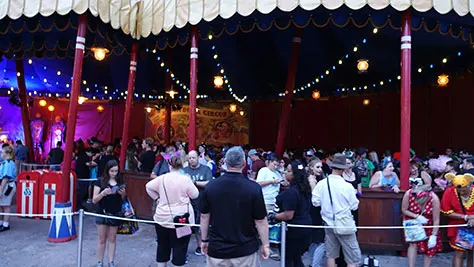 Mickey's Not So Scary Halloween Party at Walt Disney World's Magic Kingdom 2015 (42)