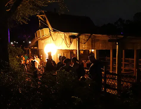 Mickey's Not So Scary Halloween Party at Walt Disney World's Magic Kingdom 2015 (61)