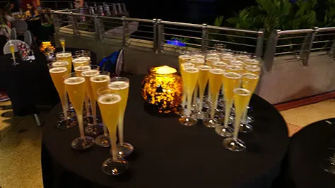 Mickey's Not So Scary Halloween Party at Walt Disney World's Magic Kingdom 2015 (87)