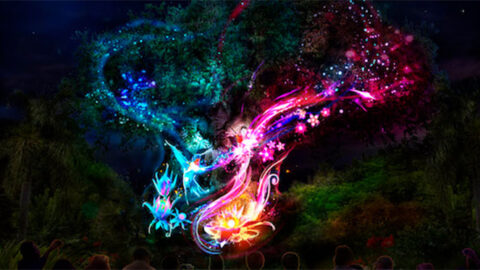 Likely date for Animal Kingdom’s new Rivers of Light Nighttime Spectacular