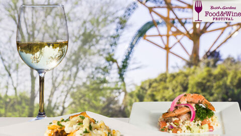 Busch Gardens Food and Wine Festival Menus and Concerts