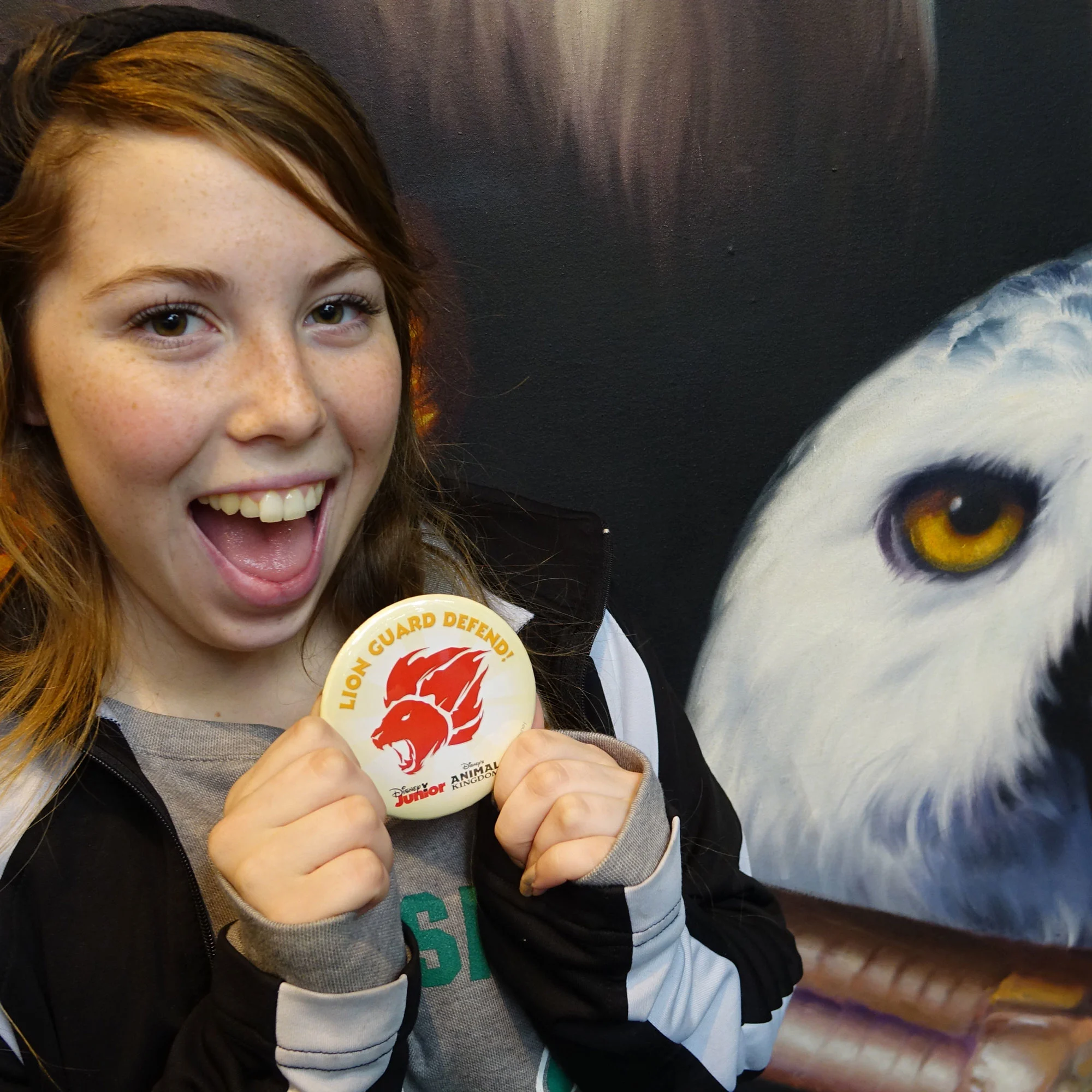 Lion Guard Adventure Button