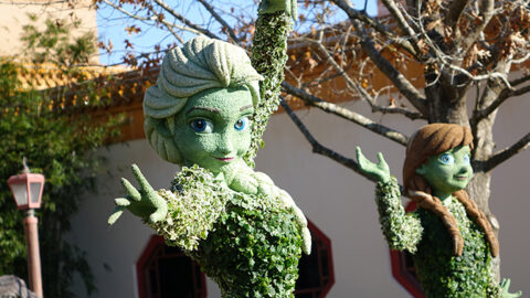 Pirate in the Parks: Epcot Flower and Garden Festival 2016 topiaries being installed