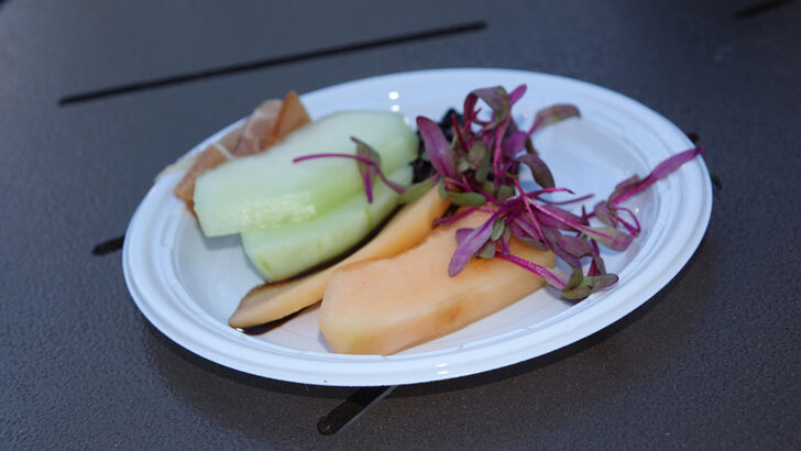 Guide to Epcot International Food and Wine Festival