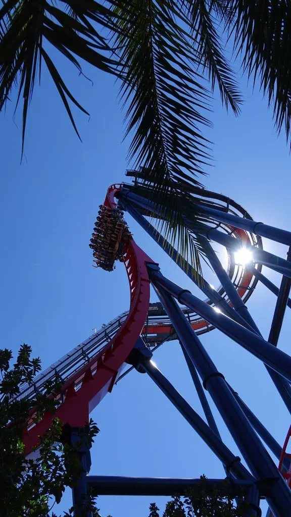 Busch Gardens Food and Wine (444)