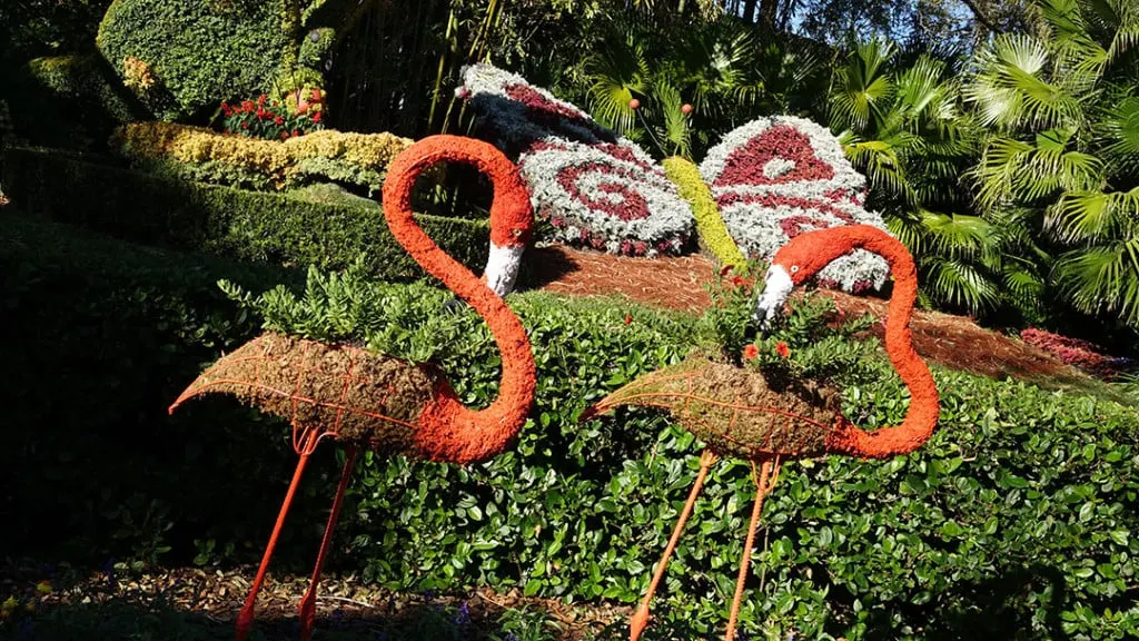 Busch Gardens Food and Wine (977)