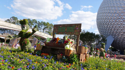 Pirate in the Parks: Epcot Flower and Garden topiaries installation completed