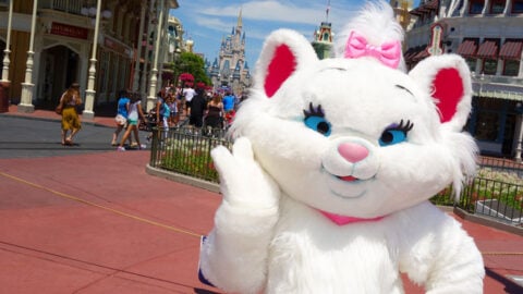 Is Marie the Cat is leaving the Magic Kingdom?