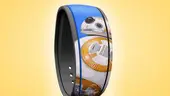 awaken-summer-magic-band