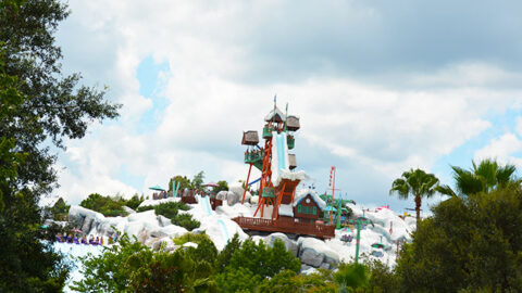 Getting to a Disney World water park is becoming more confusing and time consuming