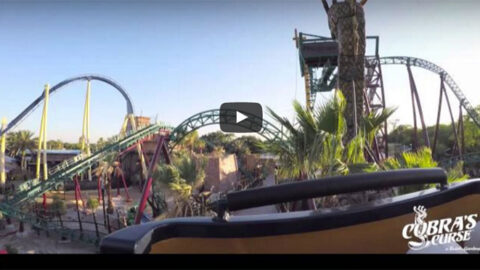 Busch Gardens releases full POV video of Cobra’s Curse ride #StrikingDistance