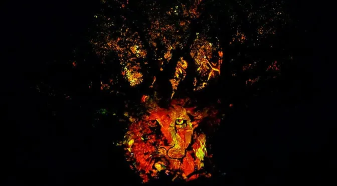 tree of life awakenings at Disney's Animal Kingdom 5