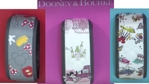 Disney World to offer Dooney and Bourke MagicBands