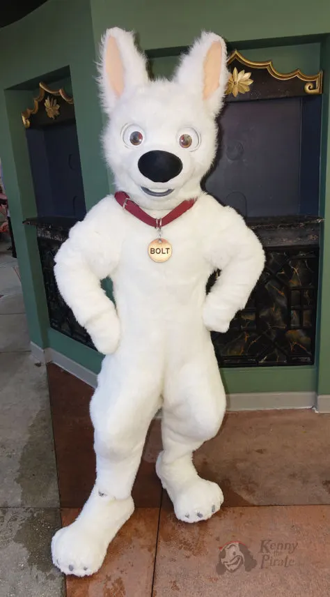 Hollywood Studios Bolt character meet and greet (1)